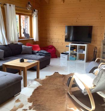 Ferienhaus mit großem Wohnzimmer